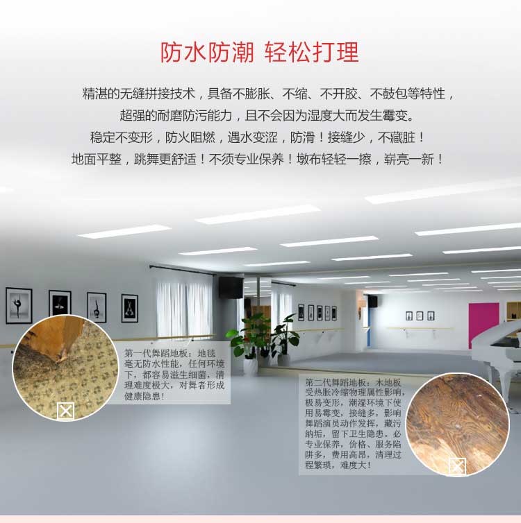 舞動(dòng)系列·舞蹈地板_舞臺(tái)地板